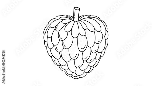 Simple black and white line art illustration of a tropical custard apple fruit for coloring pages