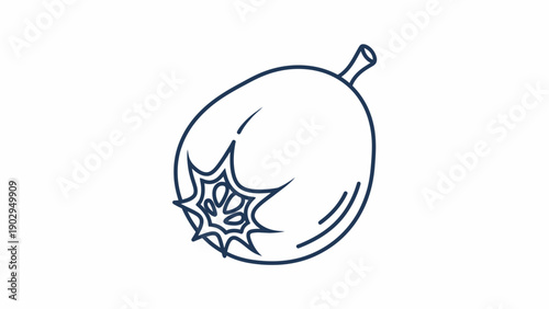 Hand-drawn minimalist line art of a single fig fruit with detailed blossom end vector illustration