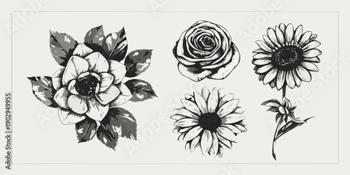 Botanical illustration of various flowers in grayscale tones