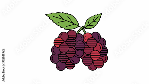 Vibrant and stylized illustration of a berry cluster with fresh green leaves on a clean white