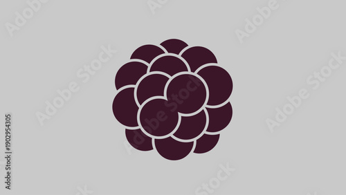 Abstract graphic representation of a raspberry fruit or a cluster of cells minimal design