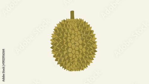Minimalist vector illustration of a whole durian tropical fruit with spiky green skin against a
