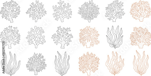 Collection of coral and seaweed outline illustrations in various underwater shapes isolated on gray background, marine botanical line art set