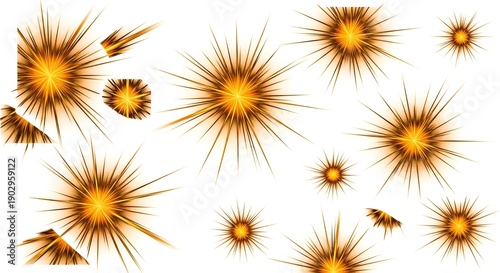 Microscopic view of various sized and shaped radiolarian organisms