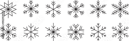 Collection of various unique snowflakes in black on white background