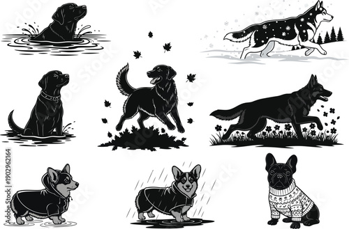 Set of illustrative dogs in various outdoor scenes, depicted with different breeds and in different weather conditions, including autumn and winter.