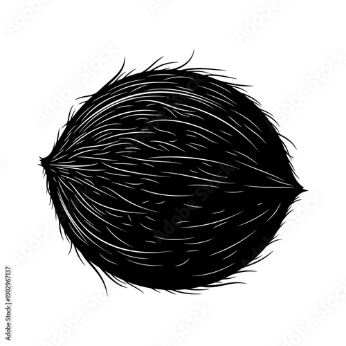 Whole Coconut Silhouette Vector Tropical Fruit Summer Food Ingredient Icon Black Shape on White