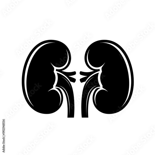 Silhouette of Human Kidneys Internal Organ Vector Icon Urinary System Anatomy Illustration Isolated Black Shape on White Background