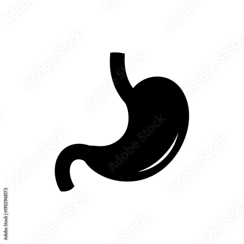 Silhouette of a Human Stomach Digestive Organ Vector Icon Medical Anatomy Illustration Isolated Black Shape on White Background