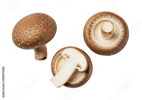 Three fresh shiitake mushrooms, two whole and one sliced showing dark caps, creamy white interior, and gills, isolated on a transparent background with soft studio light. Concept of natural healthy