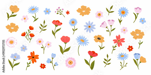 A colorful assortment of hand drawn wildflower illustrations on a white background