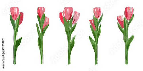 A collection of vibrant pink tulips against a stark black background
