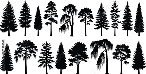 Tree silhouette illustration set featuring various conifer and deciduous tree types isolated on white background, black vector forest elements collection for landscape design