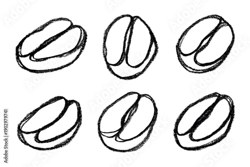 Set of hand drawn fresh roasted coffee bean Arabica robusta seed doodle Single element for design print packaging label decor