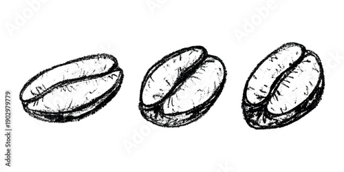 Set of hand drawn fresh roasted coffee bean Arabica robusta seed doodle Single element for design print packaging label decor