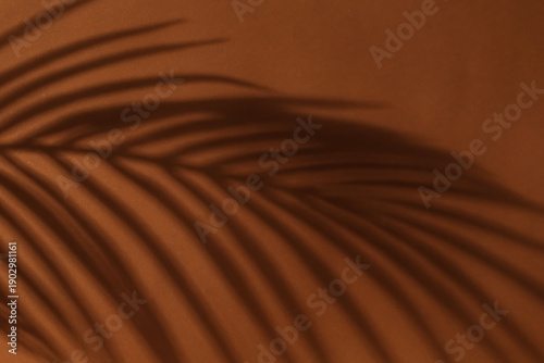 Shadow of palm leaf on brow...