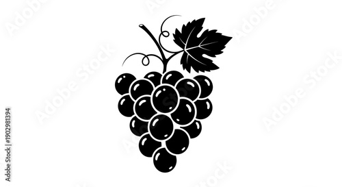 A bunch of grapes hangs from a vine with leaves in a natural setting.