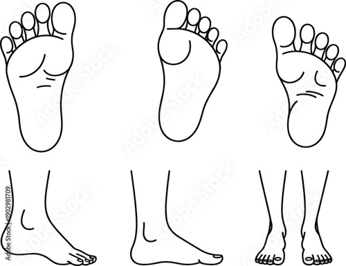 Hand drawn vector illustration of human foot anatomy showing sole views, side profiles, and standing positions for medical and artistic study