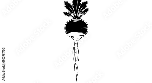 Simple black and white illustration of a beetroot with leaves from a front view