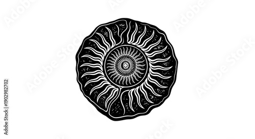 An intricate black and white illustration of a fossilized ammonite shell viewed from above on a plain white background