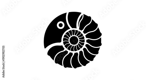 A black and white illustration of a nautilus shell viewed from the side showcasing its spiral shape and detailed internal structure
