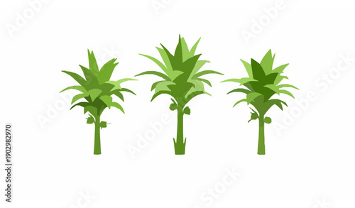 Stylized 3D coconut palm plants set isolated on white background for tropical design