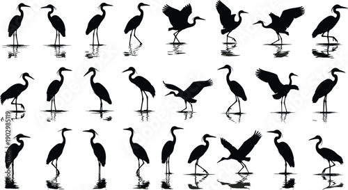 Black Heron and Crane Silhouette Collection Featuring Various Long Legged Wading Birds Standing in Water and Flying for Wetland Wildlife Nature Vector Illustration Isolated Asset