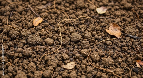 A macro close-up texture of organic ground coffee and spice powder reveals a natural brown grain pattern isolated on a white background