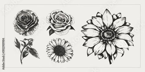 Vintage botanical illustration of roses and sunflowers in grayscale