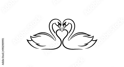 Two swans forming a heart shape with their entwined necks and bodies in a simple line illustration