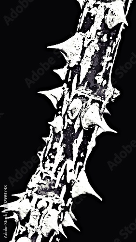 Schilderij op canvas Close up of a Rosebush stem with thorns monochrome mixed media