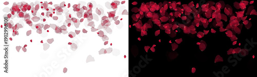 red rose petal falling border floral background png