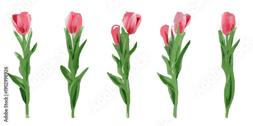 A digital illustration of five pink tulips against a black background