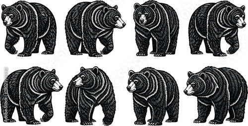 Hand drawn bear illustration bundle, black bear wildlife engraving style vectors, detailed animal sketches collection, vintage nature design set isolated