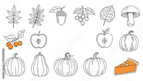 Comprehensive set of autumn themed icons including colorful leaves, pumpkins, acorns, mushrooms, and a slice of delicious pie.