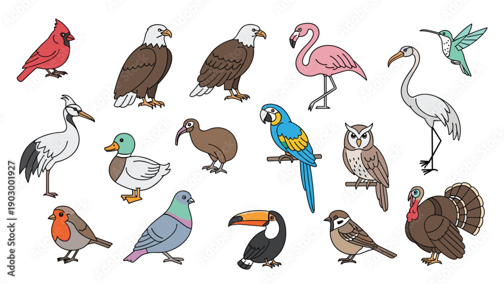 Obraz premium Educational illustration displays a diverse collection of birds including an eagle, flamingo, owl, and parrot on a white background.