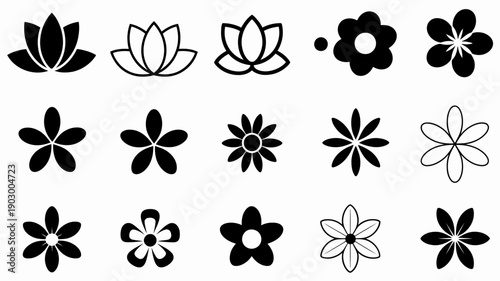 A Collection of 16 Minimalist Black and White Flower petals