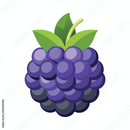 Stylized illustration of a ripe blackberry with green leaves on a white background fruit