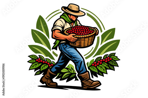 Farmer carrying basket of fresh red coffee beans