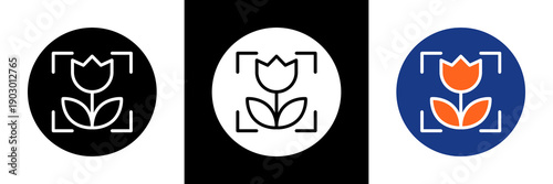 Macro Photo Icon Set Glyph Vector Illustration