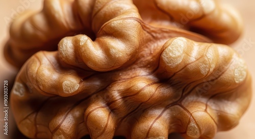 Extreme closeup reveals intricate texture and rich brown coloration of a shelled edible seed