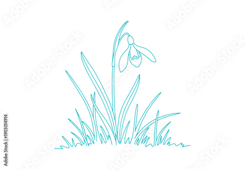 A simple background featuring a lone snowdrop flower surrounded by basic grass lines. Sketch of the grass and flower. The delicate, doodle hand-drawn style captures the essence of early spring .