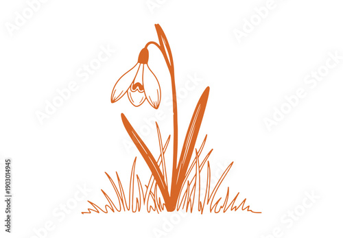 A minimalistic backdrop with a single snowdrop flower set against straightforward grass lines. Sketch of the grass and flower. This delicate, doodle hand-drawn style reflects the beauty of nature.