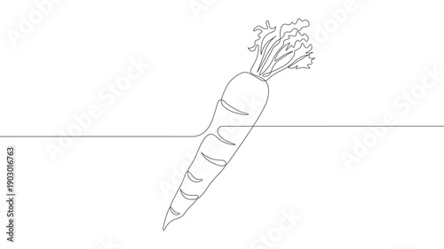 Continuous one line drawing of carrot vegetable. One line drawing illustration of growing carrot plant. Vegetable growing concept continuous line art. 