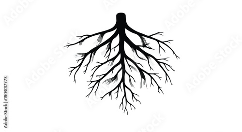Intricate tree roots spread outwards, symbolizing growth and connection in a clean, graphic style.
