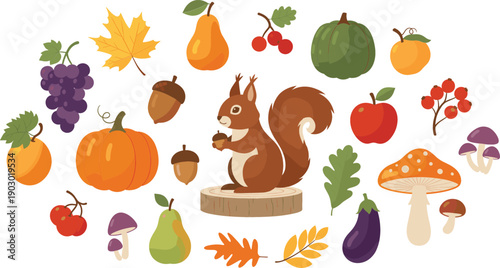 Flat autumn vector illustration set featuring a cute squirrel on a wood stump surrounded by pumpkins, acorns, colorful maple leaves, mushrooms, grapes, and fall harvest vegetables.