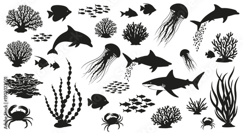 A collection of black and white silhouette illustrations of various marine life and underwater elements, including fish, sharks, dolphins, jellyfish, crabs, corals, and seaweed.