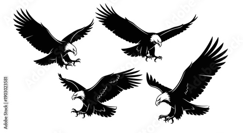 Four black and white illustrations of bald eagles in flight, with their wings spread and talons extended.