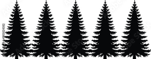 Pine tree silhouette forest border with evergreen conifer trees, natural woodland landscape design element isolated on white background for nature themes