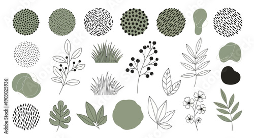 A collection of stylized botanical illustrations and abstract organic shapes in muted green and black and white.